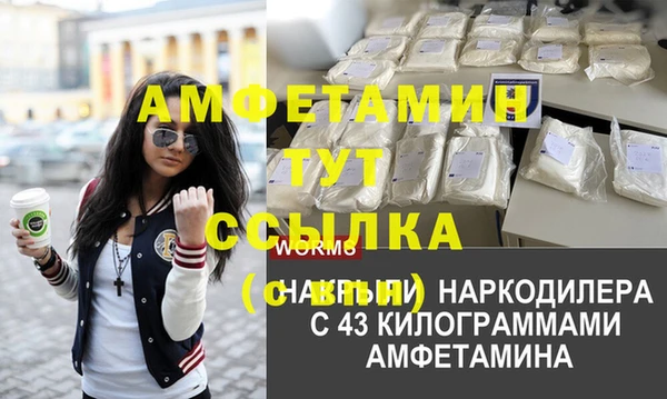дмт Белокуриха