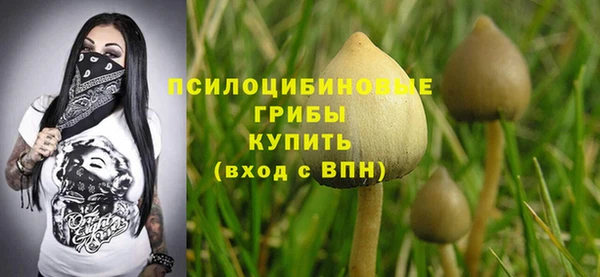 МДПВ Беломорск